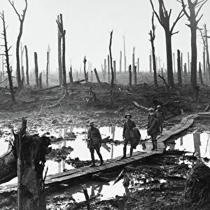 Australian troops at remains of Chateau Wood, Passchendaele, 1917