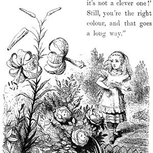 CARROLL: LOOKING GLASS. Alice in the Garden of Live Flowers