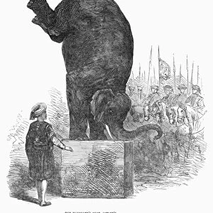 CIRCUS ELEPHANT, 1853. Circus elephant at Astleys Theatre in London. Wood engraving, 1853