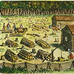 COLONIAL FARM SITE, 18TH C. An 18th century newly-cleared American farm site. Colored engraving, c1800
