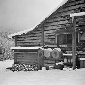 COLORADO: ASPEN, 1941. View of a cowhands cabin on a ranch in the mountains near Aspen, Colorado