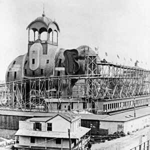 CONEY ISLAND: SHUTE, c1900. The elephant shute ride at Steeplechase Park, the first