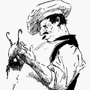 COOK, 19th CENTURY. Pen and ink drawing, late 19th century