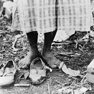 COTTON PICKER, 1937. Feet of an African American cotton picker near Clarksdale, Mississippi. Photograph by Dorothea Lange, June 1937