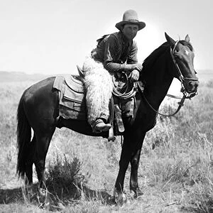 A cowboy, Honeycut, on the horse White Star on the plains of Montana. Photographed by Laton Alton Huffman, August 1904