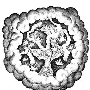 ELEMENTS OF CHAOS, 1617. The unfettered elements of Chaos. Line engraving from Robert Fludds Utriusque Cosmi Historia, 1617