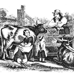 FARMING: MILKING, c1860. Milking the cow. American typefounders cut, c1860