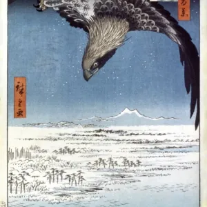 Hiroshige's Woodblock Print of an Eagle Over Edo, Japan Hiroshige's Woodblock Print of an Eagle Over Edo, Japan