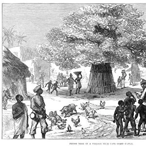 GHANA: CAPE COAST, 1874. Fetish Tree in a Village Near Cape Coast Castle, in Ghana