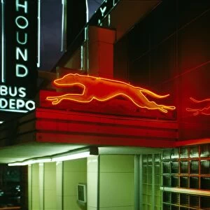 GREYHOUND STATION, 1986. The Greyhound Bus Station in Columbia, South Carolina