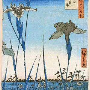 JAPAN: IRIS GARDEN, 1857. Horikiri Iris Garden. Woodcut by Hiroshige Ando, 1857