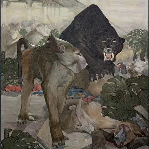 JUNGLE BOOK, 1903. Monkey fight. Illustration by Edward and Maurice Detmold for