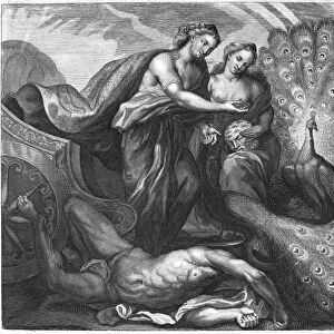 JUNO AND ARGUS. Juno preserves the eyes of the decapitated Argus by setting them in the peacocks tail. Copper engraving, 18th century