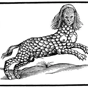 LAMIA MONSTER, 1658. Woodcut from Edward Topsells A History of Four-Footed Beasts