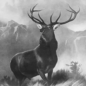 LANDSEER: STAG, 1851. Monarch of the Glen. After the painting by Edwin Landseer, 1851