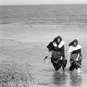 LONG ISLAND: CLAMMING, 1957. Two nuns in habits, clam digging in the water off of Long Island