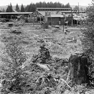 LUMBER MILL, 1939. The Mumby Lumber Mill being dismantled after thirty-five years
