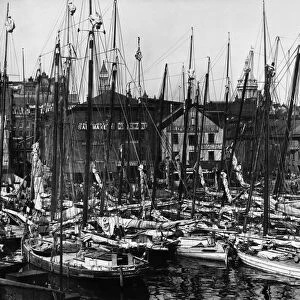 MARYLAND: OYSTER FLEET. A fleet of oyster boats in the harbor in Baltimore, Maryland