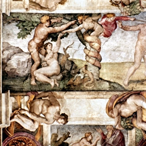 Michelangelo Collection: Frescoes