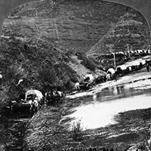 MORMON WAGON TRAIN, 1879. A Mormon wagon train on its way to Utah. Photographed by C
