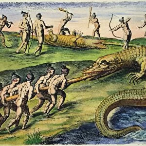NATIVE AMERICANS: CROCODILES, 1591. Florida Native Americans killing crocodiles (alligators). Engraving, 1591, by Theodor de Bry after a now lost drawing by Jacques Le Moyne de Morgues