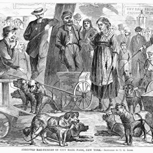 NEW YORK: RAG-PICKERS. Rag-pickers who have been placed under arrest gathered in City Hall Park, New York. Wood engraving, 1867