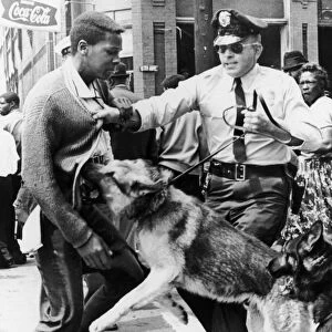 Police dog attacking a young black man during the Youth Mass Demonstration in Birmingham, Alabama, spring 1963