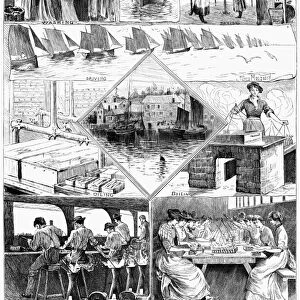 SARDINE FISHERY, 1880. Scenes from a sardine fishery in Cornwall, England. Engraving
