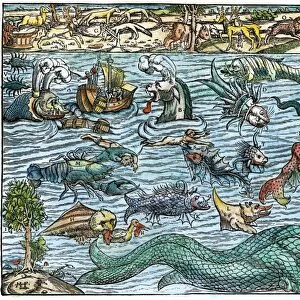 SEA MONSTERS, 1550. Sea monsters inhabiting the north Atlantic and animals found