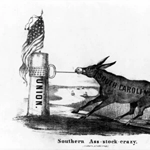 SECESSION CARTOON, 1861. Southern Ass-Stock-Crazy (Southern Aristocracy). Cartoon of South Carolina depicted as a stubborn donkey seceding from the Union, 1861