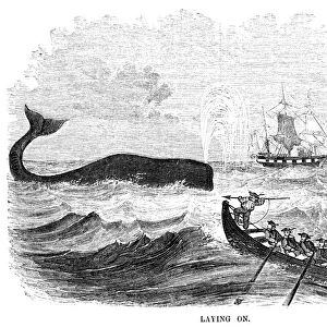 WHALING, 1855. Laying On. American whalers attempt to harpoon a whale. Wood engraving