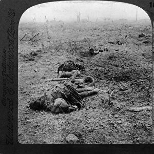 WORLD WAR I: SCOTTISH DEAD. Scottish casualties after a battle at Flanders Field, Belgium
