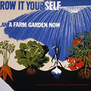WWII: POSTER, c1942. Grow it yourself - Plan a farm garden now. Lithograph, c1942