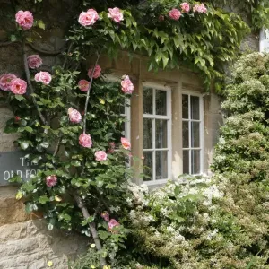 Prints of : WIndows