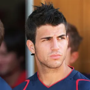 Players - Coaches Collection: Fabregas Cesc