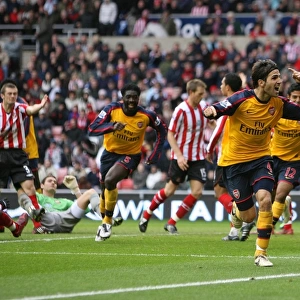 Sunderland v Arsenal 2008-9
