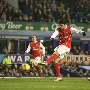 Eduardo's Debut Goal: Arsenal Crushes Everton 4-1 (Barclays Premier League, 2007)