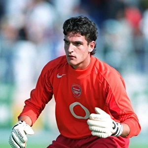 Mannone: Arsenal's Unyielding Guardian - The Unwavering Presence of Vito Mannone