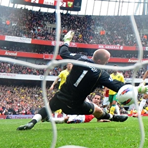 Robin van Persie scores his 2nd goal for Arsenal past John Ruddy (Norwich) Arsenal 3: 3 Norwich City