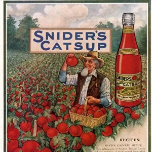 Sniders Catsup 1920s USA CC tomatoes sauce farmers farming recipes