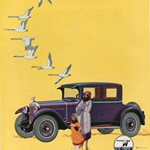 Wills Sainte Claire 1925 1920s USA cc cars Wills Sainte Claire geese birds flying