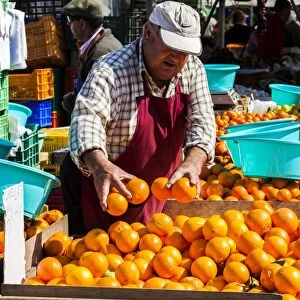 Selling oranges in La Vila Joiosa, Spain
