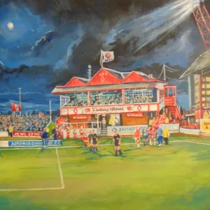 Broomfield Park Pavillion Stadium Fine Art - Airdrieonians FC