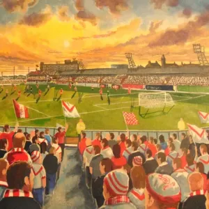 Broomfield Park Stadium Fine Art - Airdrieonians Football Club