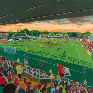 Kingfield Stadium Fine Art - Woking Football Club