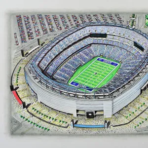 MetLife Stadium Art - New York Giants