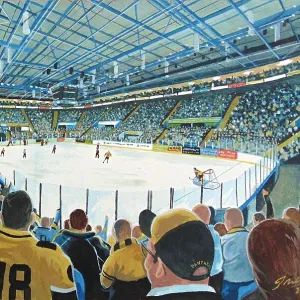 James Muddiman Collection: Ice Hockey Stadia