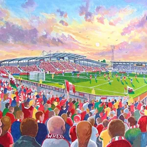 Racecourse Ground Stadium Fine Art - Wrexham Football Club