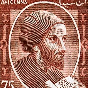 Abja Alja al-jausayn ibn Abd Alljah ibn Sjanja, known as Abja Alja Sjanja