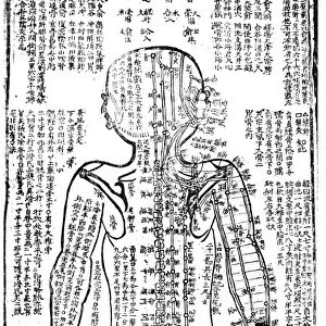 Acupuncture chart for rear of the body. 19th century Japanese. Wood block